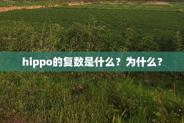 hippo的复数是什么？为什么？