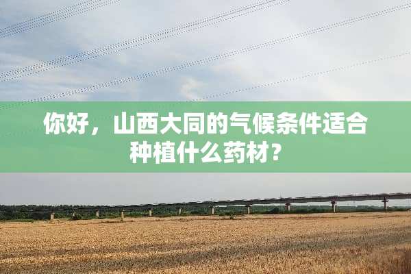 你好，山西大同的气候条件适合种植什么药材？