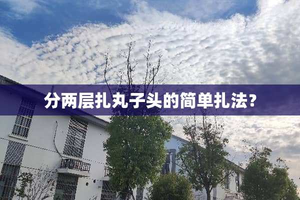 分两层扎丸子头的简单扎法？