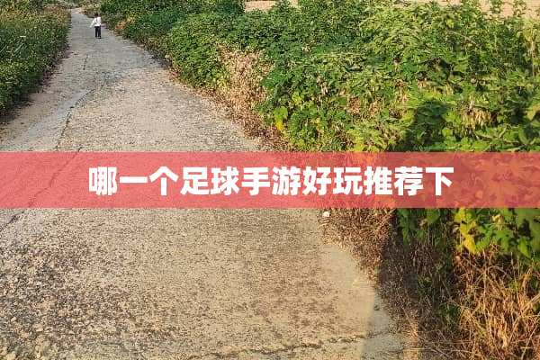 哪一个**手游好玩推荐下