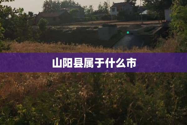 山阳县属于什么市