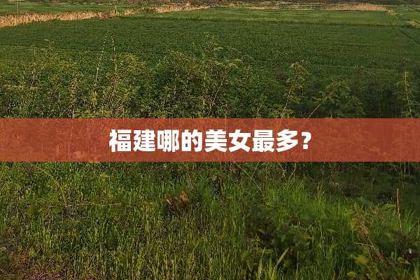 福建哪的**最多？