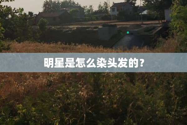 明星是怎么染头发的？