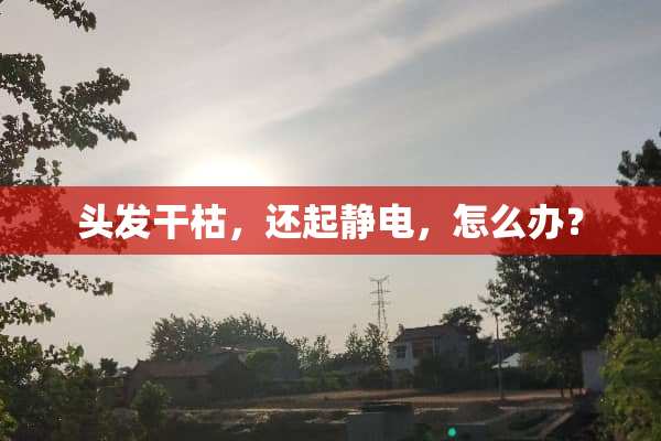头发干枯，还起静电，怎么办？