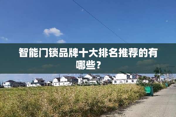 智能门锁品牌十大排名推荐的有哪些？