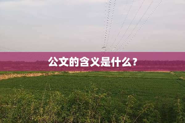 公文的含义是什么？