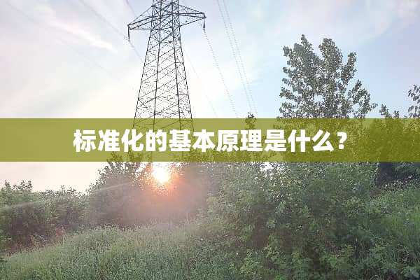 标准化的基本原理是什么？