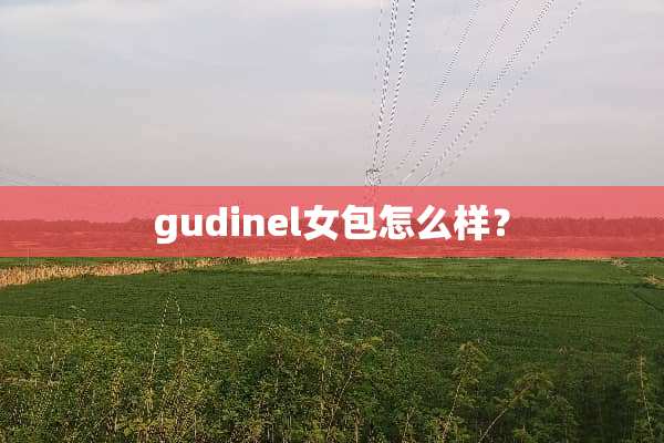 gudinel女包怎么样？