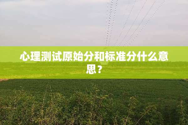 心理测试原始分和标准分什么意思？