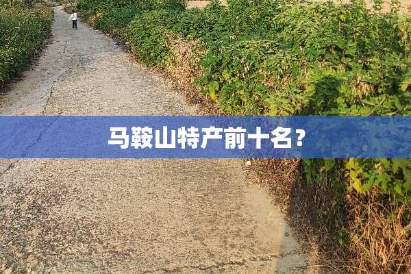马鞍山特产前十名？