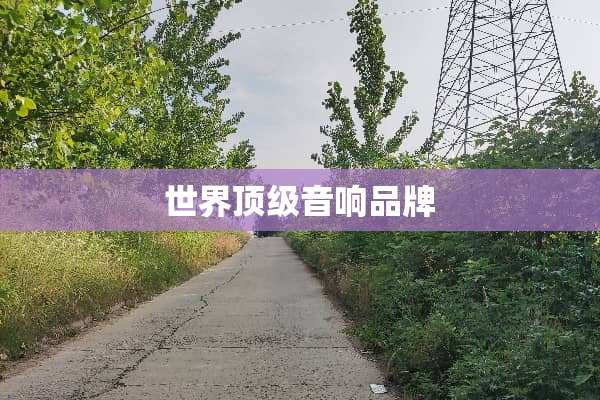 世界**音响品牌