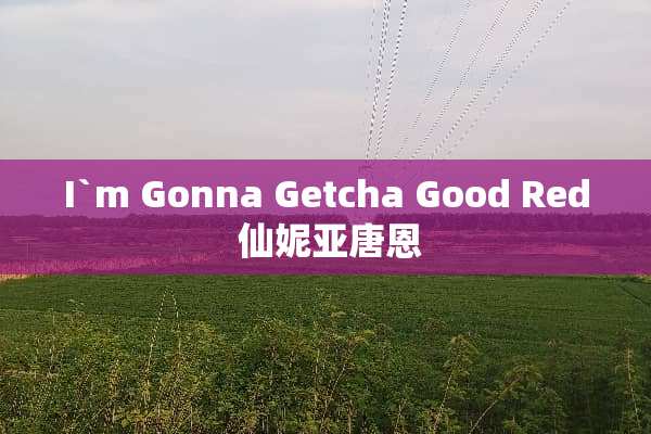 I`m Gonna Getcha Good Red 仙妮亚唐恩
