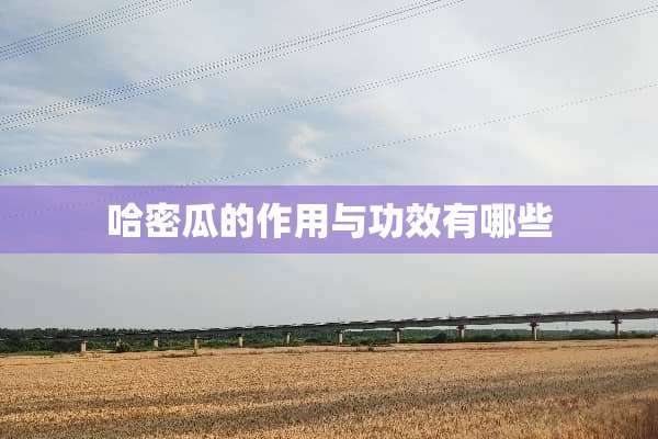 哈密瓜的作用与功效有哪些