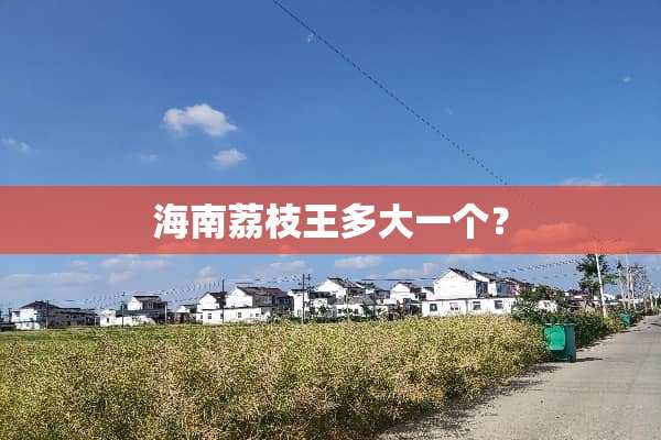 海南荔枝王多大一个？