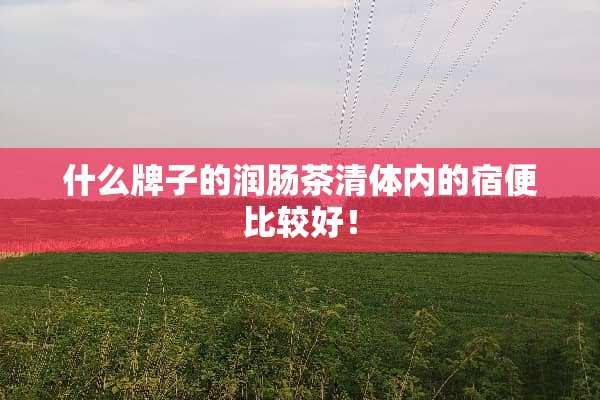 什么牌子的润肠茶清体内的宿便比较好！