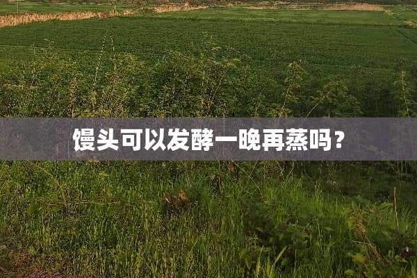 馒头可以发酵一晚再蒸吗？