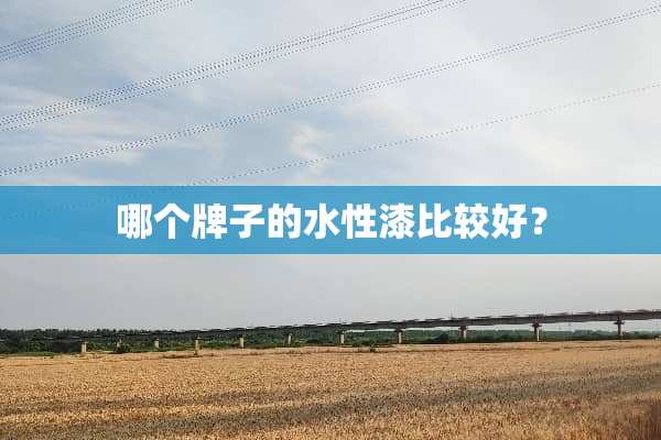 哪个牌子的水性漆比较好？