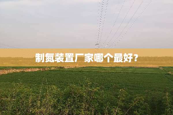 制氮装置厂家哪个最好？