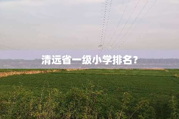 清远省一级小学排名？