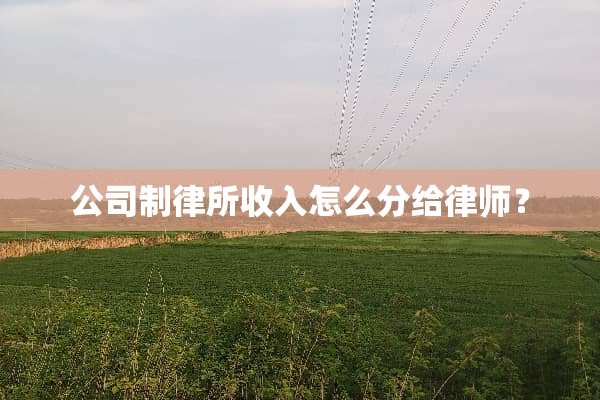 公司制律所收入怎么分给律师？