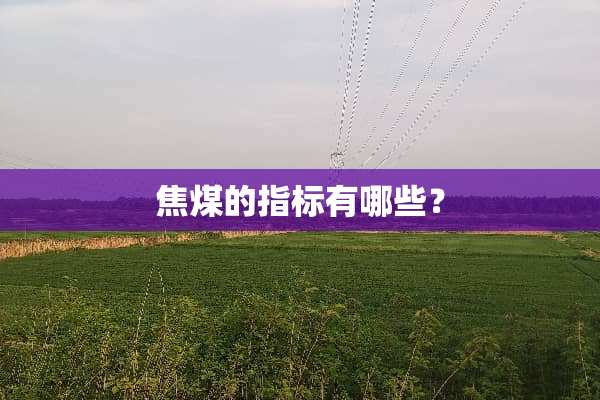 焦煤的指标有哪些？