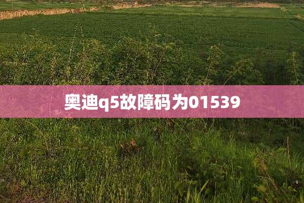 奥迪q5故障码为01539