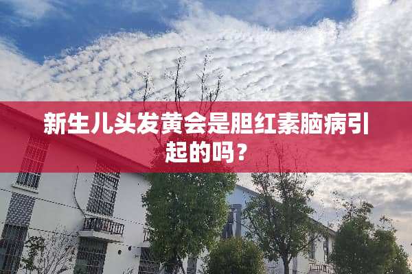 新生儿头发黄会是胆红素脑病引起的吗？
