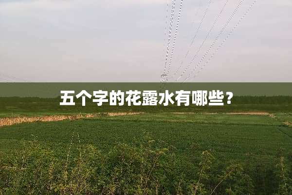 五个字的花露水有哪些？