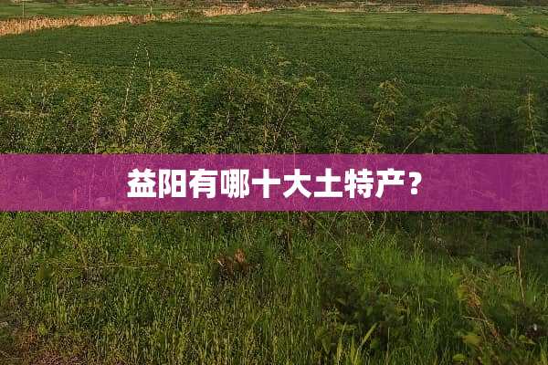 益阳有哪十大土特产？