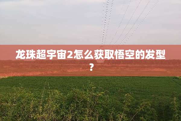 龙珠超宇宙2怎么获取悟空的发型？