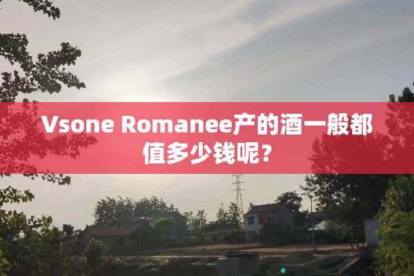 Vsone Romanee产的酒一般都值多少钱呢？