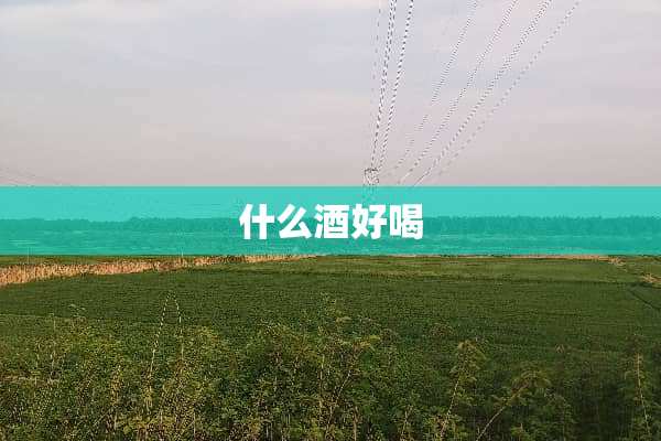 什么酒好喝