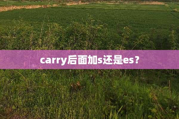 carry后面加s还是es？