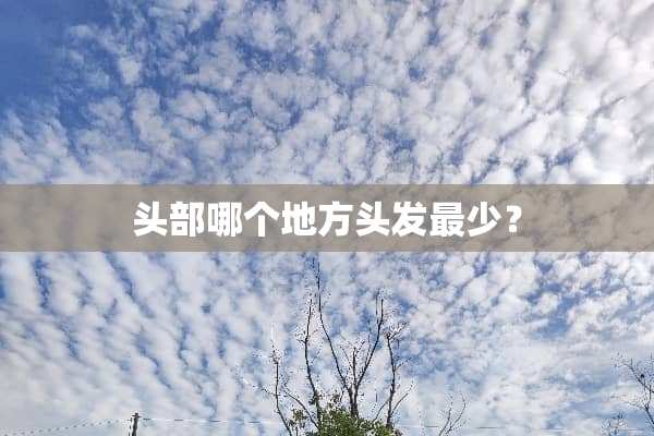 头部哪个地方头发最少？