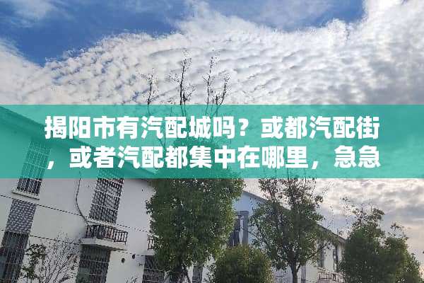 揭阳市有汽配城吗？或都汽配街，或者汽配都集中在哪里，急急急，谢谢啦！！！