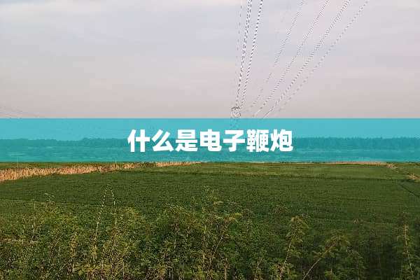什么是电子鞭*