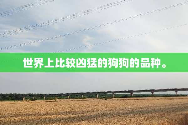 世界上比较凶猛的狗狗的品种。