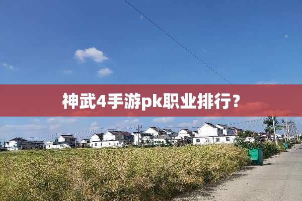 神武4手游pk职业排行？