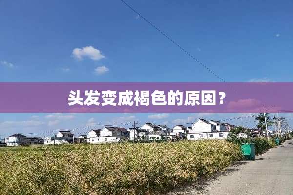 头发变成褐色的原因？