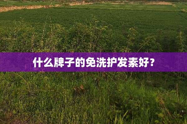 什么牌子的免洗护发素好？