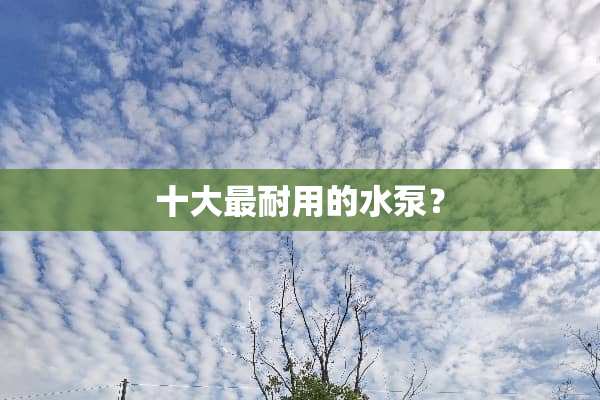 十大最耐用的水泵？