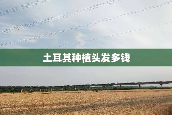 土耳其种植头发多钱