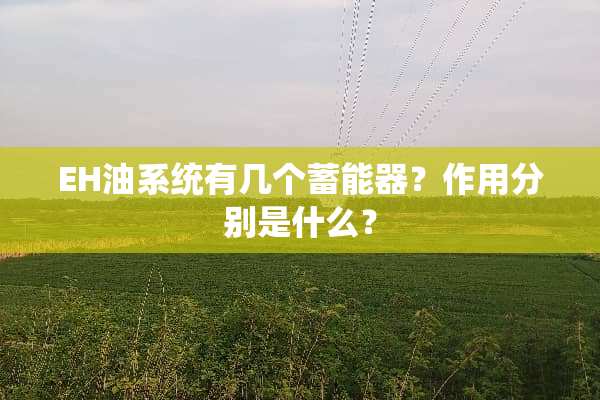 EH油系统有几个蓄能器？作用分别是什么？
