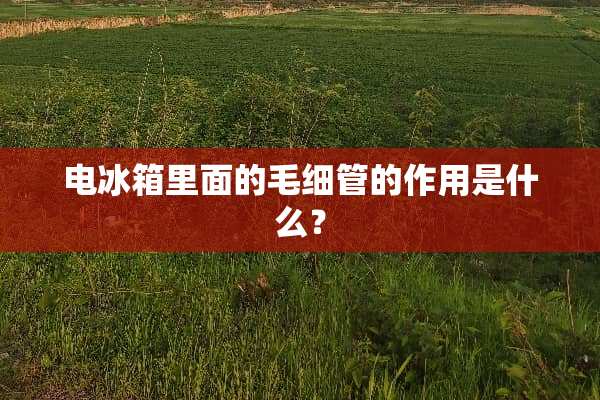 电冰箱里面的毛细管的作用是什么？