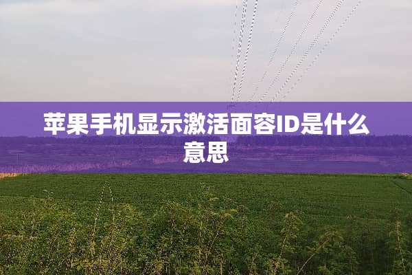苹果手机显示激活面容ID是什么意思