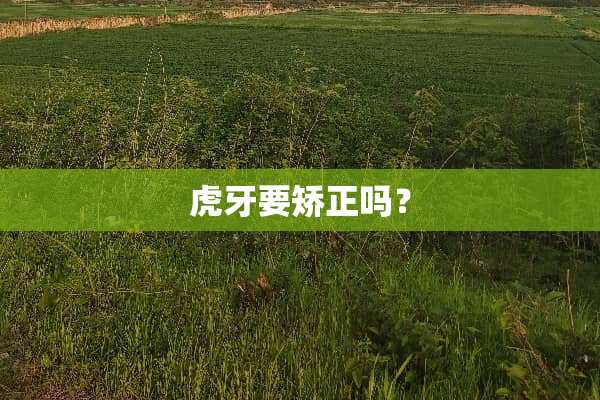 **要矫正吗？