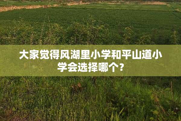 大家觉得风湖里小学和平山道小学会选择哪个？