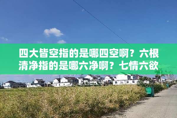 四大皆空指的是哪四空啊？六根清净指的是哪六净啊？七情六欲指的又是什么？
