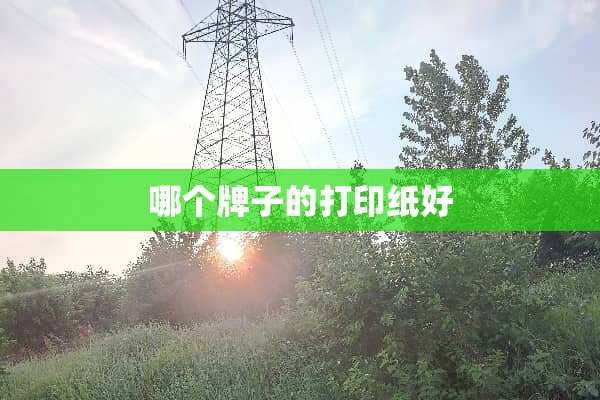 哪个牌子的打印纸好