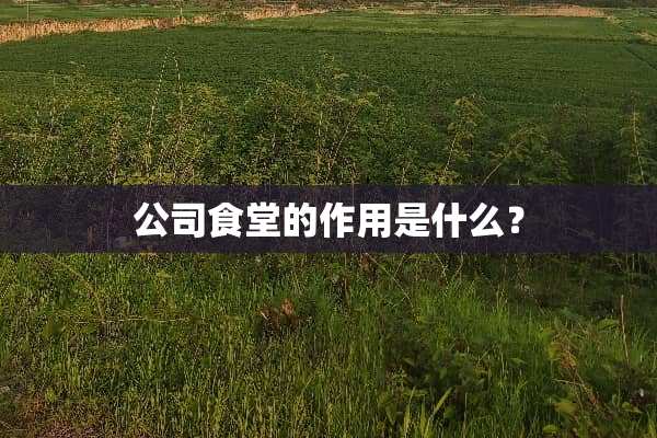 公司食堂的作用是什么？